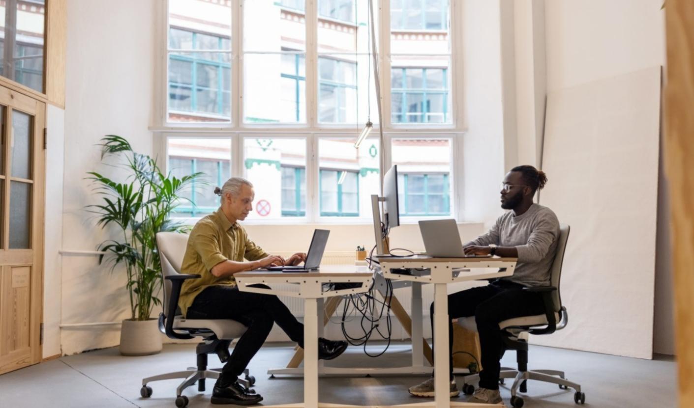 Vista del proceso de aprendizaje de auditoría SEO